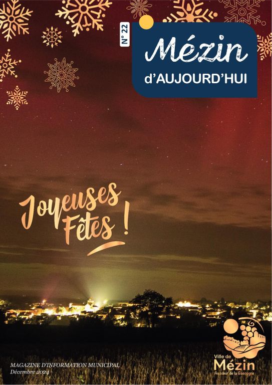 bulletin mezin n22 ok