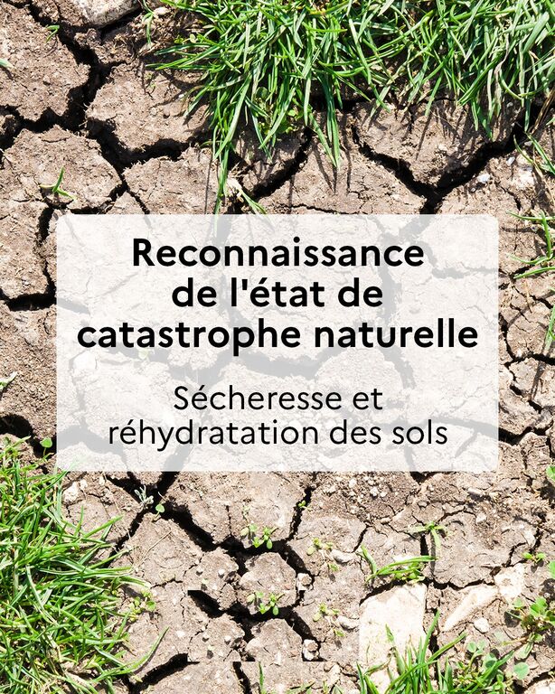 645419817 1326667239495266 7911751604286690479 n