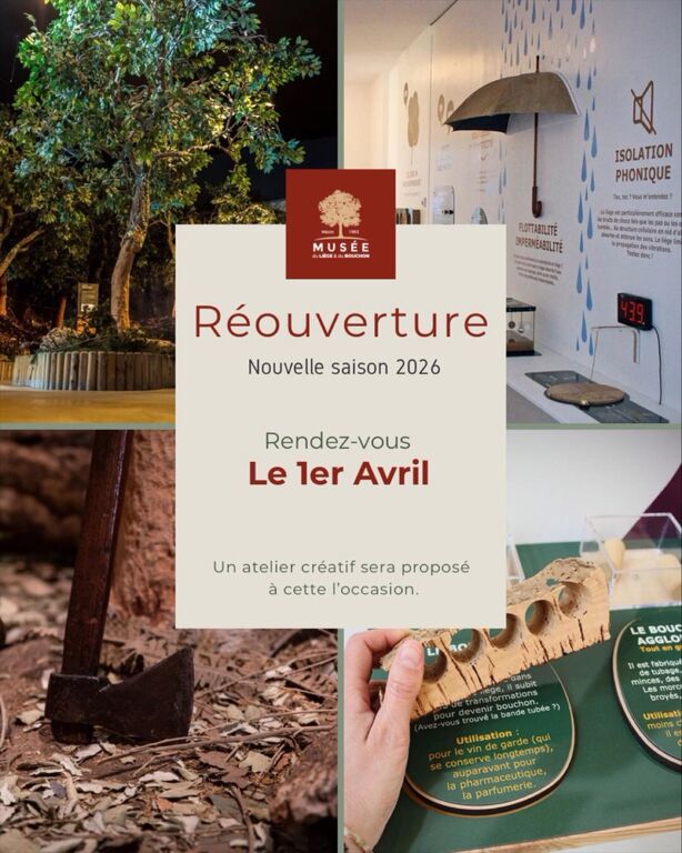 652866041 1255082253474019 3268283584738570515 n